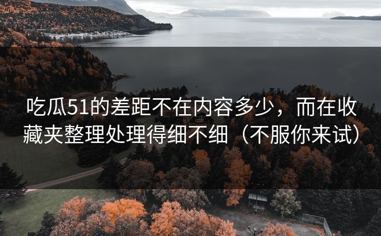吃瓜51的差距不在内容多少，而在收藏夹整理处理得细不细（不服你来试）