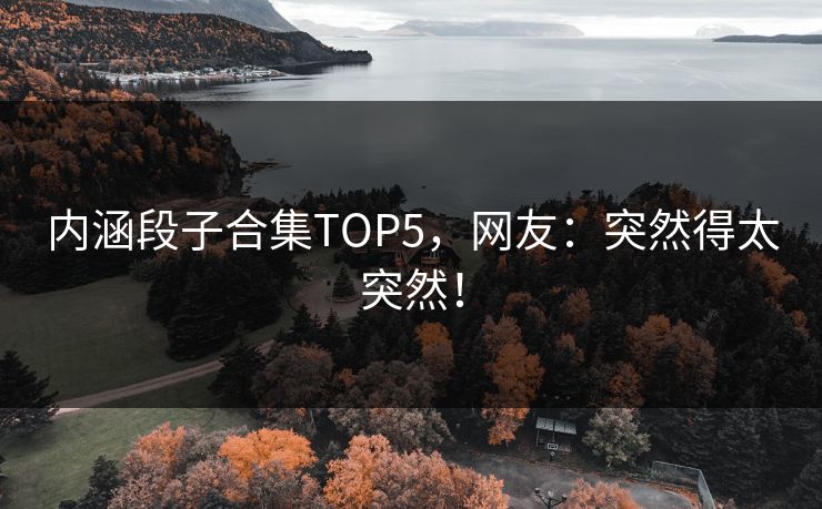 内涵段子合集TOP5，网友：突然得太突然！