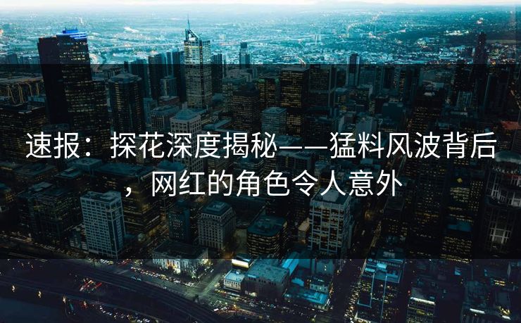 速报：探花深度揭秘——猛料风波背后，网红的角色令人意外