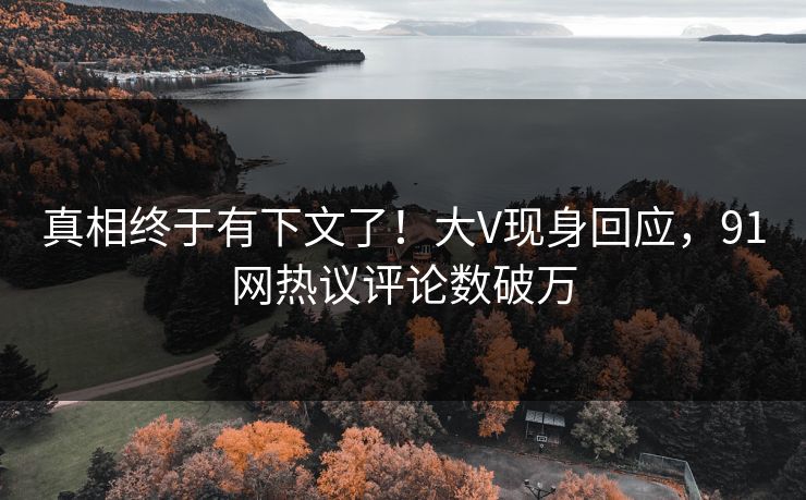 真相终于有下文了！大V现身回应，91网热议评论数破万