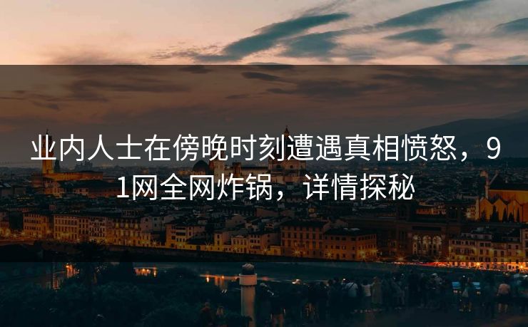 业内人士在傍晚时刻遭遇真相愤怒，91网全网炸锅，详情探秘