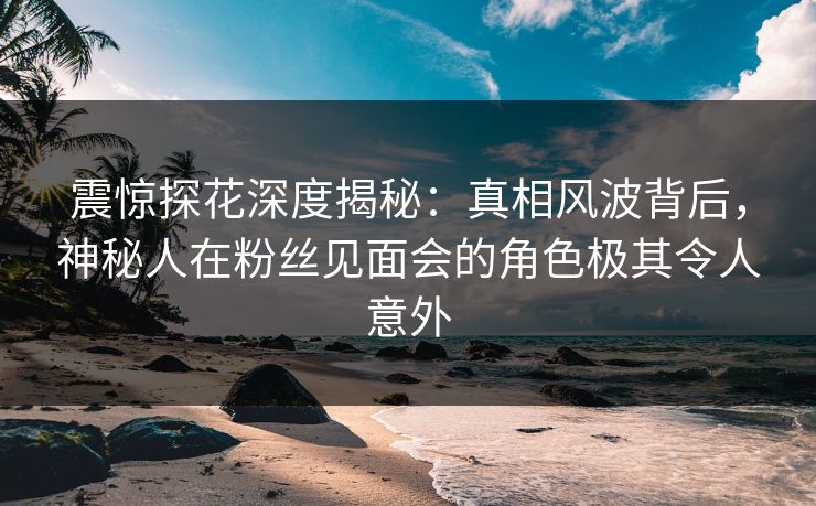 震惊探花深度揭秘：真相风波背后，神秘人在粉丝见面会的角色极其令人意外