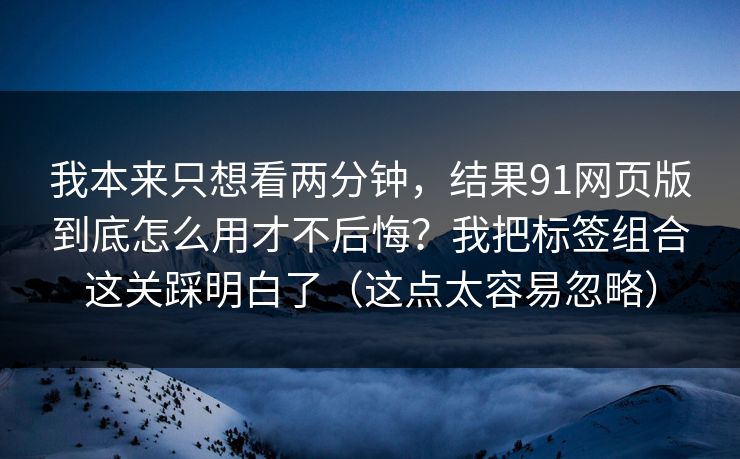 我本来只想看两分钟，结果91网页版到底怎么用才不后悔？我把标签组合这关踩明白了（这点太容易忽略）